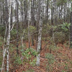 10 Acre 5