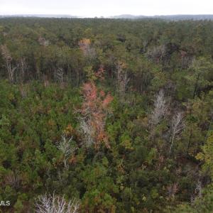 28 Acre 12