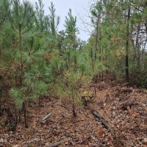 28 Acre 7
