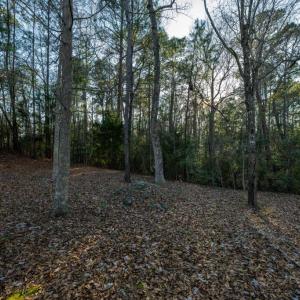 413-River-Crest-Dr-09