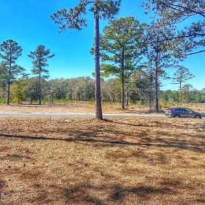 IMG_4502_SnapseedCopy