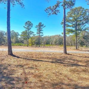 IMG_4503_SnapseedCopy