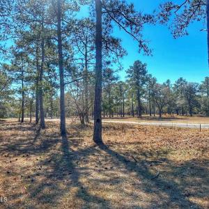 IMG_4506_SnapseedCopy (1)