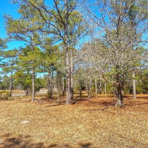 IMG_4507_SnapseedCopy