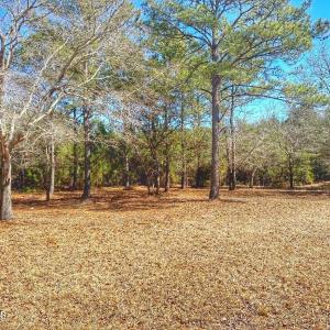 IMG_4505_SnapseedCopy