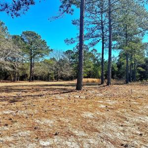 IMG_4511_SnapseedCopy