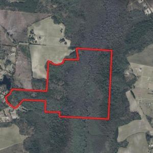 Screenshot_5-2-2026_234944_id.land