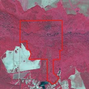 Screenshot_5-2-2026_23549_id.land