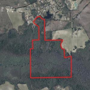 Screenshot_5-2-2026_23503_id.land