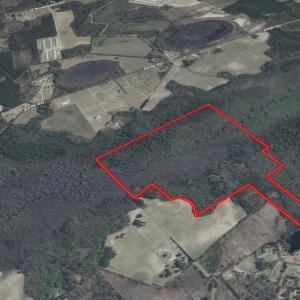 Screenshot_5-2-2026_235036_id.land