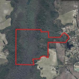 Screenshot_5-2-2026_235019_id.land