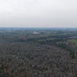 DJI_20260321205315_0051_D