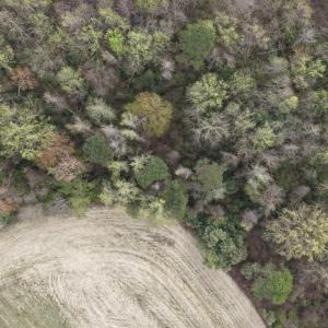 DJI_20260321212250_0075_D