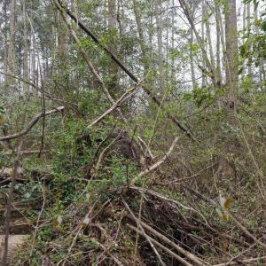 DJI_20260321220845_0138_D