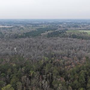 DJI_20260321205217_0048_D