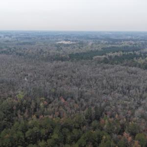 DJI_20260321205249_0050_D