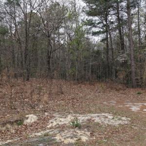 DJI_20260321213029_0087_D