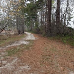 DJI_20260321213817_0114_D