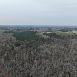 DJI_20260321204211_0024_D