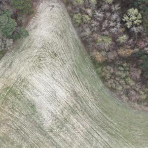 DJI_20260321212205_0071_D