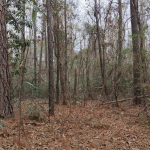 DJI_20260321213359_0103_D