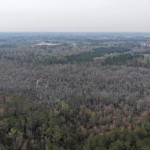 DJI_20260321205232_0049_D