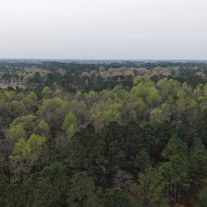 DJI_20260321203511_0009_D