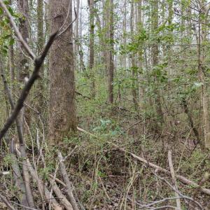 DJI_20260321220939_0141_D