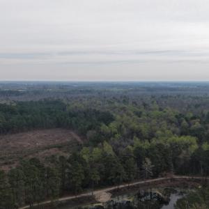 DJI_20260321204543_0031_D