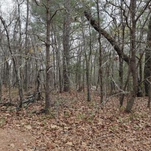 DJI_20260321213201_0091_D