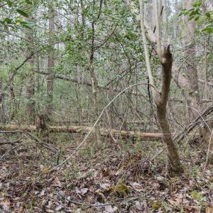 DJI_20260321221056_0142_D