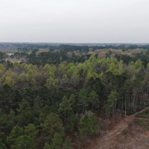 DJI_20260321203522_0010_D