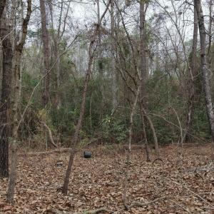 DJI_20260321214322_0126_D