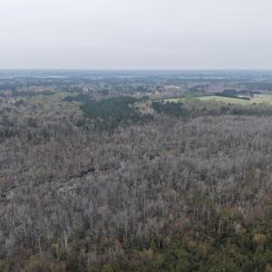 DJI_20260321205033_0044_D