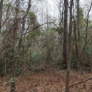 DJI_20260321214212_0124_D