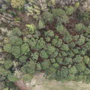 DJI_20260321212330_0076_D