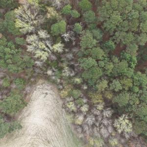 DJI_20260321212156_0070_D