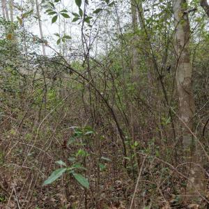 DJI_20260321221105_0143_D