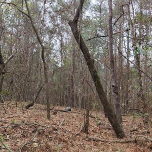 DJI_20260321214120_0121_D