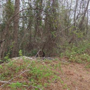 DJI_20260321213847_0116_D