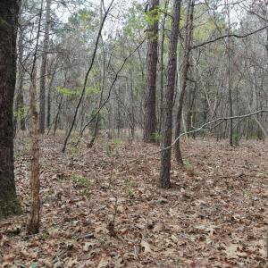 DJI_20260321213346_0102_D