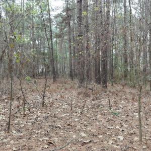 DJI_20260321213541_0107_D