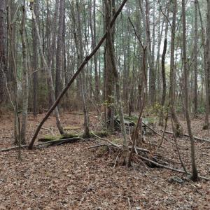 DJI_20260321213554_0108_D