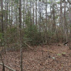 DJI_20260321213603_0110_D