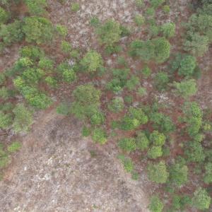 DJI_20260321212056_0066_D