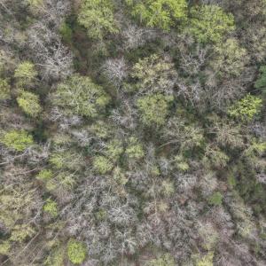 DJI_20260321212041_0065_D