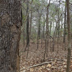 DJI_20260321213308_0098_D