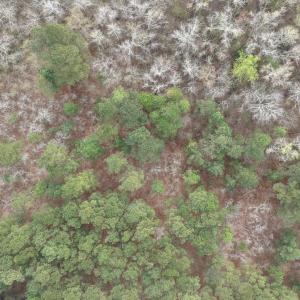 DJI_20260321222011_0145_D