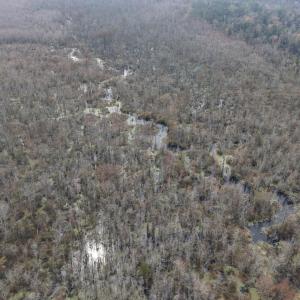 DJI_20260321222156_0146_D