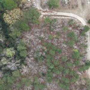 DJI_20260321212000_0062_D